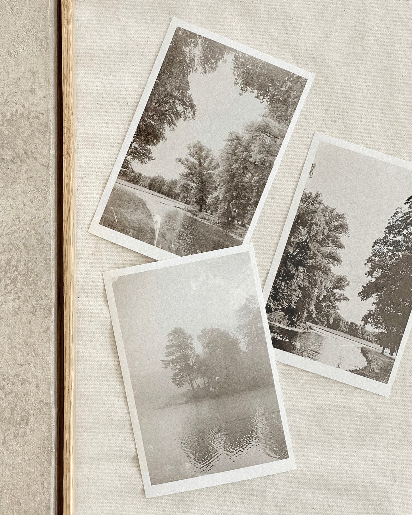 THROUGH THE MORNING MIST | PRINT