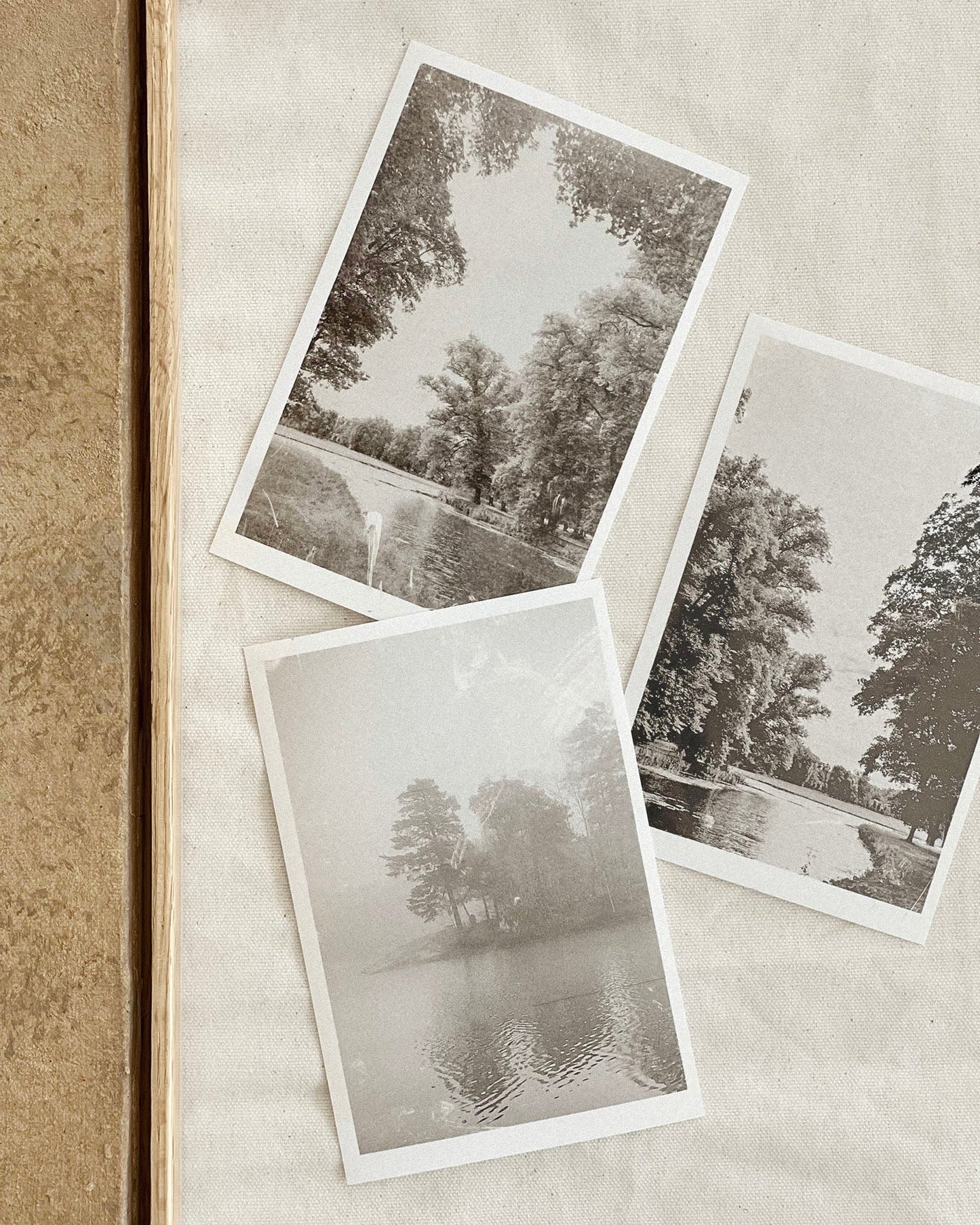 A SENSE OF BELONGING | PRINT